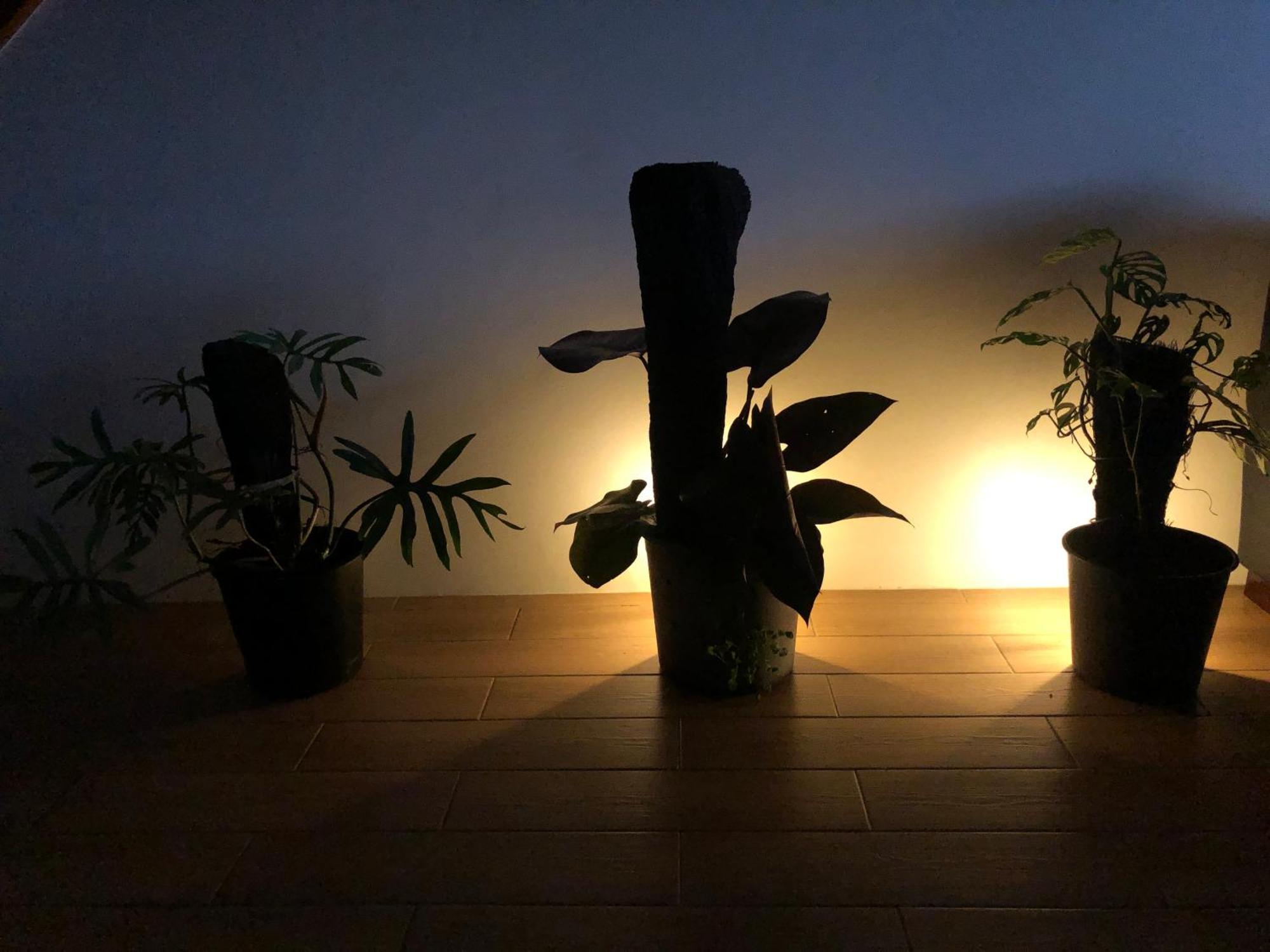 Balabala Bed & Breakfast I นาดี ภายนอก รูปภาพ